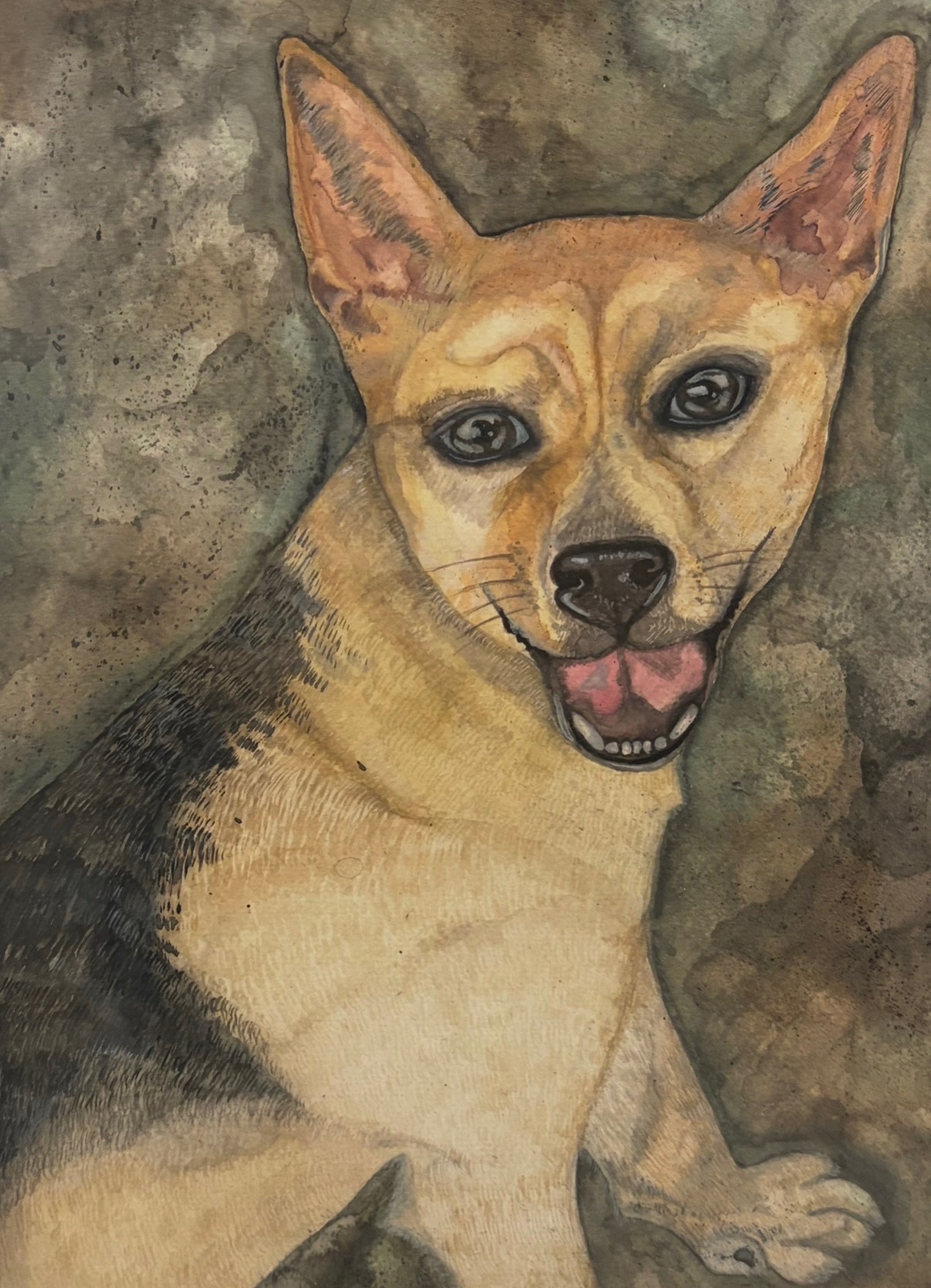 Dog Portrait