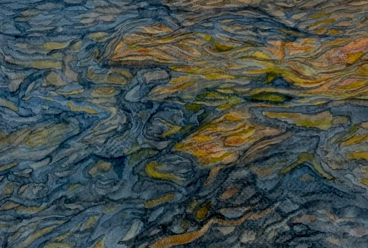 Water Study
