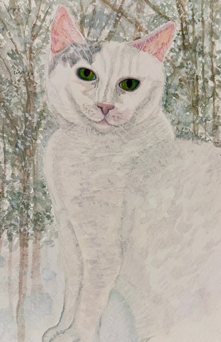 White Cat Portrait